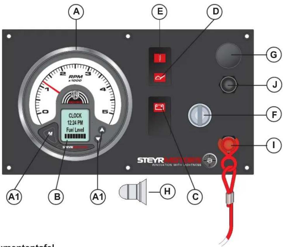 Steyr Motors MO174V40 - Instrumententafel - 1