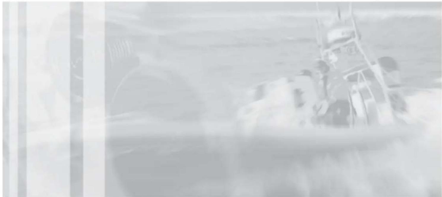 Steyr Motors MO114K33 - WILLKOMMEN AN BORD - 1