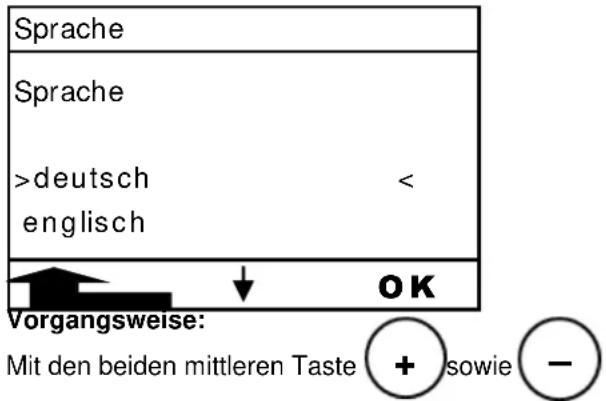 Haas+Sohn PALLAZZA-II 519.08 - Einstellung der Sprache bei Erstinbetriebnahme - 1