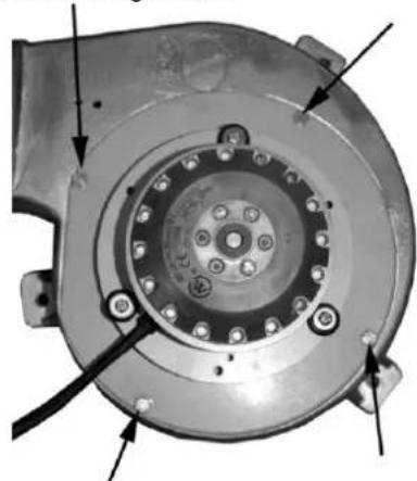 Haas+Sohn PELLETTO 417.08 - Reinigung des Saugzuggehäuses- und Ventilators - 1