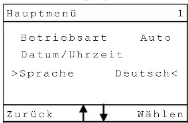 Haas+Sohn PELLETTO-RLU 418.08 - Einstellung Sprache - 1
