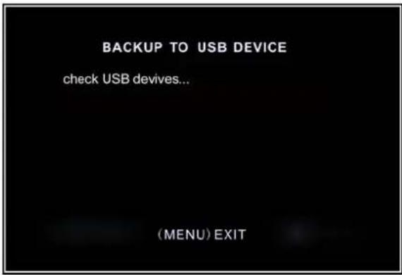 SKYTRONIC DVR 351.124 - Video Backup voor optionele USB Memory Stick Backup) - 6