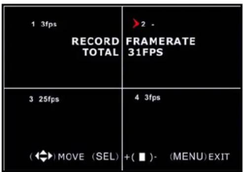 SKYTRONIC DVR 351.124 - Opname Frame rate - 1