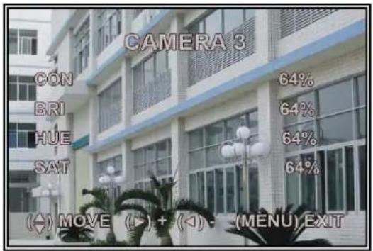 SKYTRONIC DVR 351.124 - Miscellaneous Setup - Image Parameters - 2