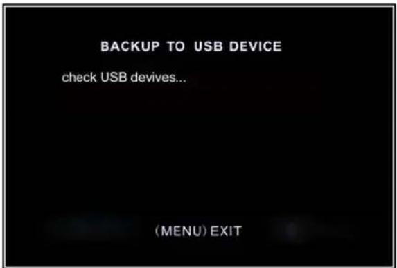 SKYTRONIC DVR 351.124 - Video Backup (Für optionales USB Memory Stick Backup) - 6