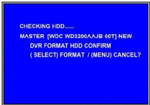 SKYTRONIC DVR 351.124 - Format Hard Drive - 1