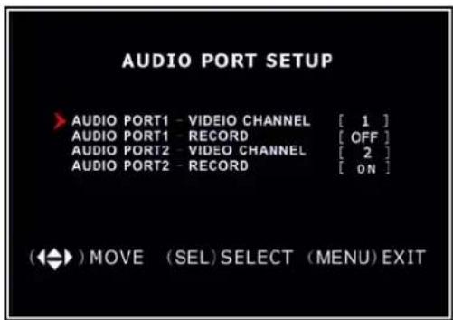 SKYTRONIC DVR 351.124 - Set up diversen - Audio Poort Setup - 1