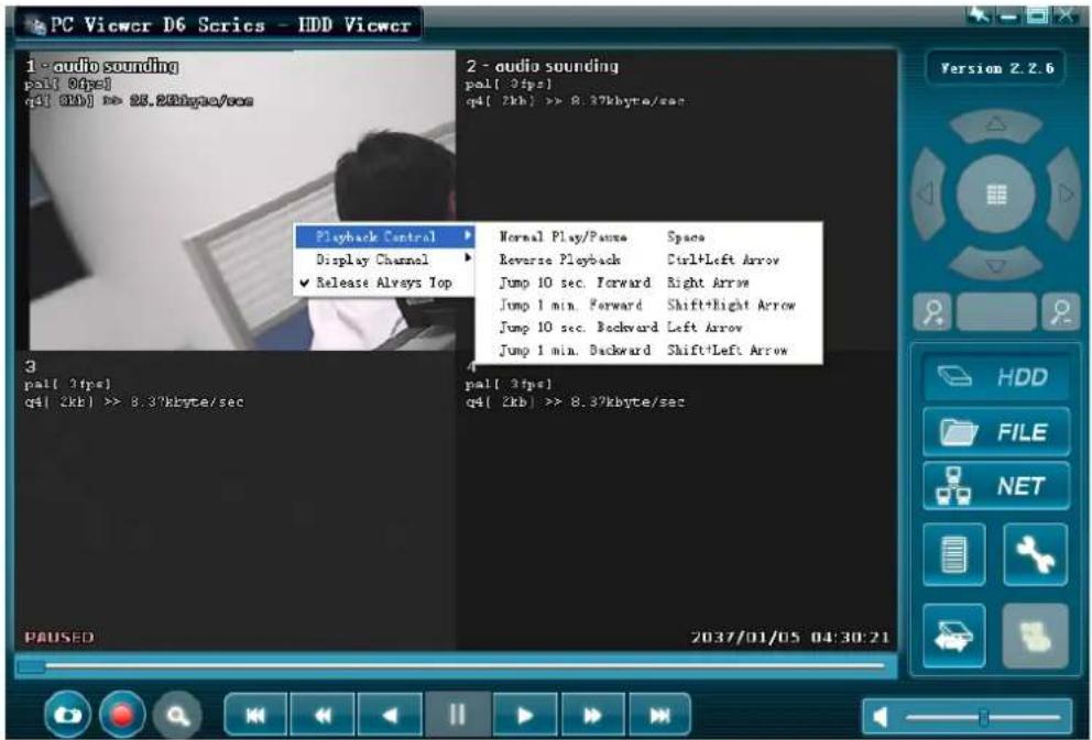 SKYTRONIC DVR 351.124 - HDD play mode: - 6