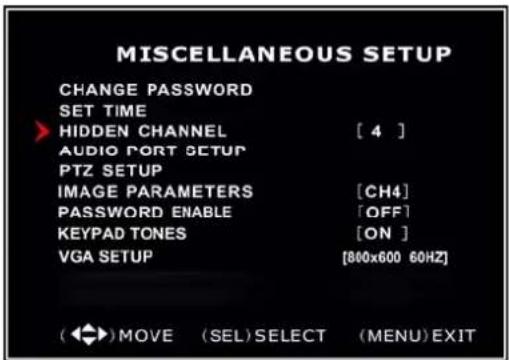 SKYTRONIC DVR 351.124 - Miscellaneous Setup - Hidden Channel - 1