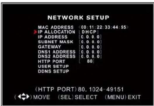 SKYTRONIC DVR 351.124 - Network Setup - 2