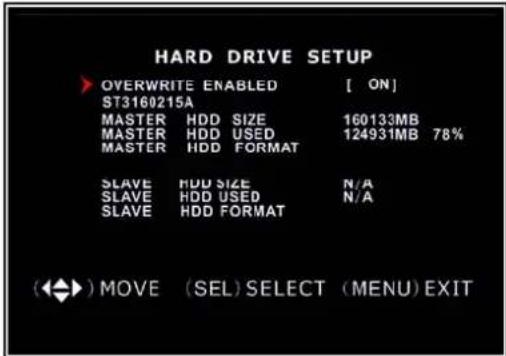 SKYTRONIC DVR 351.124 - Hard Drive Setup - 1