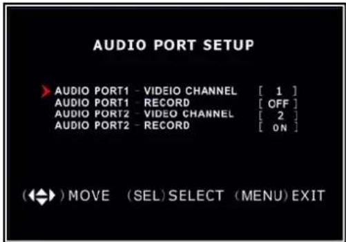SKYTRONIC DVR 351.124 - Weitere Einstellungen - Audio Port Einstellung - 1