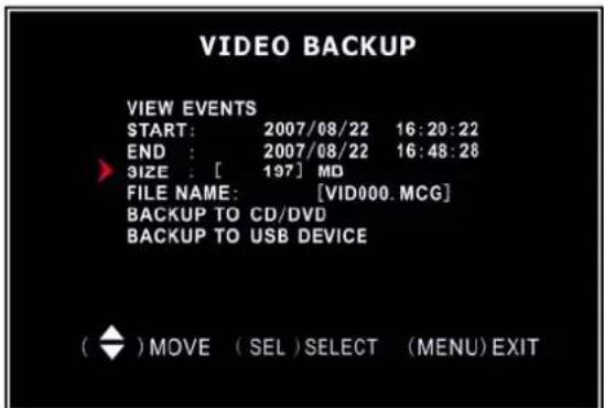 SKYTRONIC DVR 351.124 - Video Backup (Für optionales USB Memory Stick Backup) - 2