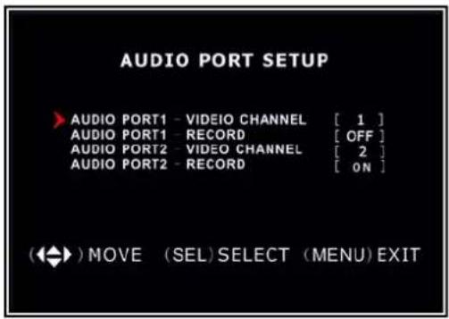 SKYTRONIC DVR 351.124 - Miscellaneous Setup - Audio Port Setup - 1