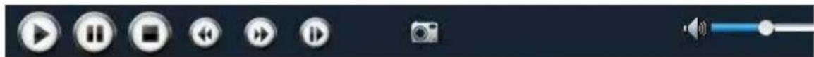 SKYTRONIC DVR 351.115 - Playback Player - 4