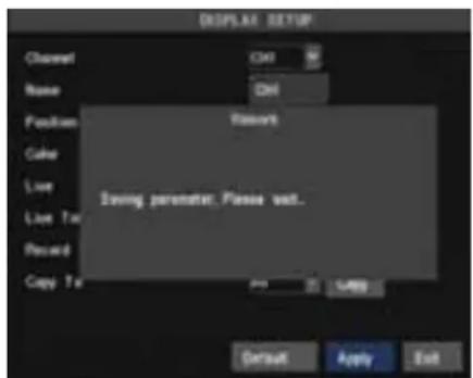 SKYTRONIC DVR 351.115 - Display setup - 3