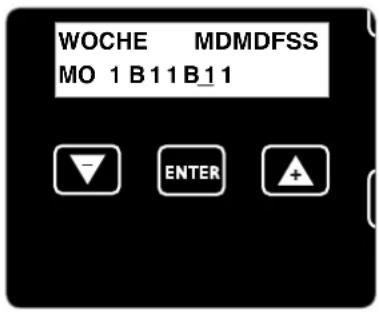 AMBROGIO L200 - Wichtig - 1