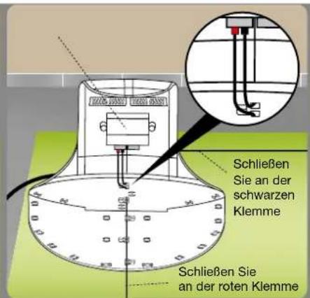 AMBROGIO L85 - Wichtig - 4