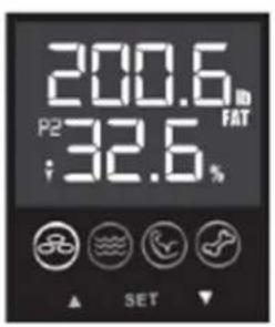 Ozeri Touch - Benutzen der Waage - 1
