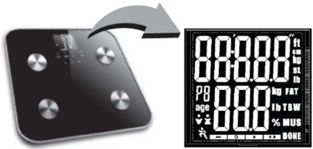 Ozeri Touch - Volle LCD Ansicht - 1