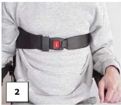 LEVO C3 - Brustgurt - 2