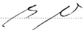 Bizerba BS 38 - Konformitätserklärung - 1