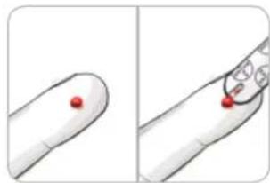 Bayer Contour XT - Gewinnen des Blutstropfens für Messungen an der Fingerbeere - 3