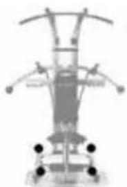 Finnlo Bioforce Sport - HAMMER-CURLS EINARMIG - 19