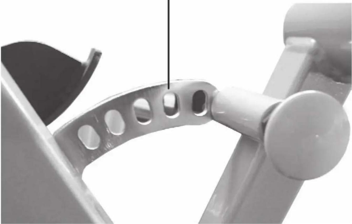 Finnlo Autark 8000 - Beinfixierung für Beinbeuger Leg fixation for leg flexion - 1