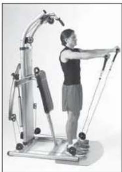 Finnlo Bioforce Ultimate - Schultern - 4