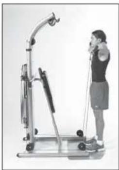 Finnlo Bioforce Ultimate - Schultern - 2