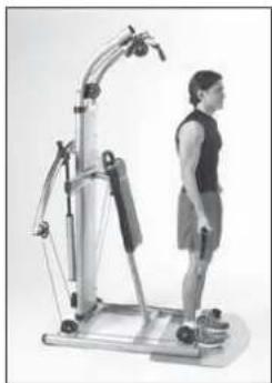 Finnlo Bioforce Ultimate - BIZEPS-CURLS STEHEND - 2