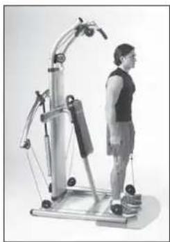 Finnlo Bioforce Ultimate - Schultern - 1