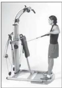 Finnlo Bioforce Ultimate - Schultern - 2