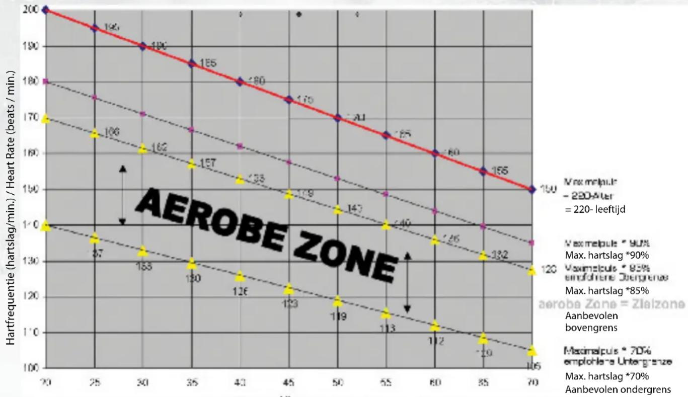 Finnlo Finum 2009 - Alterations of metabolic activity during training - 1