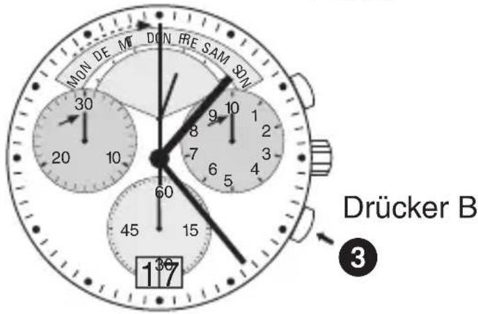 Bruno Söhnle Ronda 7004.P - WeRk 8040.n - 2