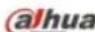 Dahua Technology HDW4431EMP-ASE - Fisheye/Trigger Track - 7