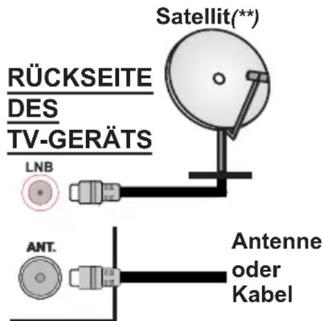 TOSHIBA 49L1763DA - Anschluss der Antenne - 1