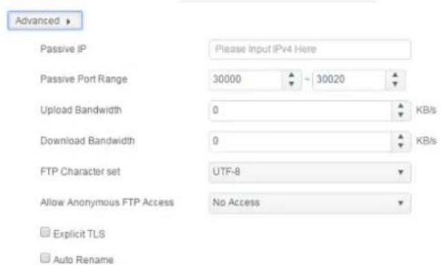 Thecus N2810 - FTP - 2