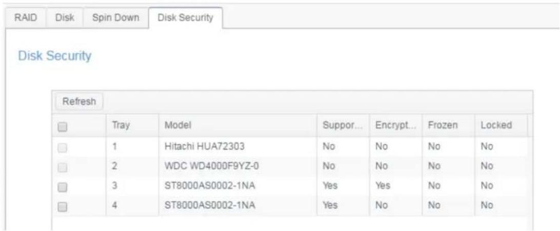 Thecus N2810 - Disk Security - 1