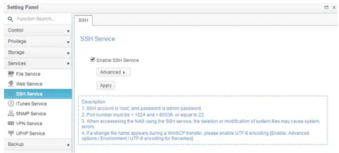 Thecus N2810 - SSH Service - 1