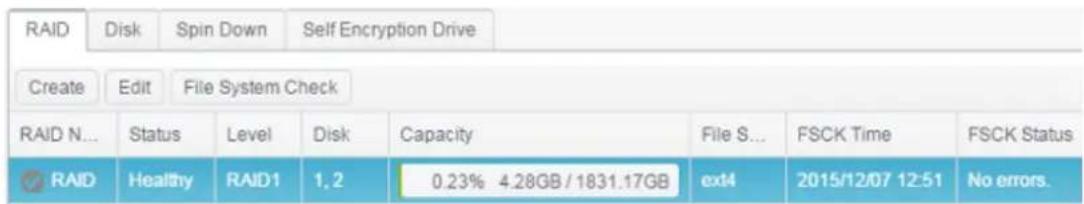Thecus N2810 - File System Check - 2