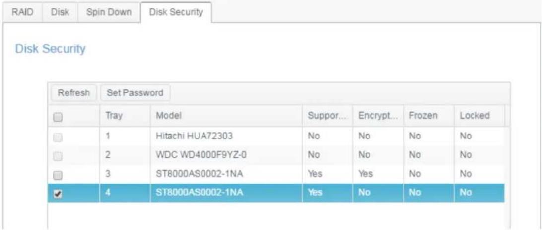 Thecus N2810 - Disk Security - 2