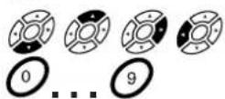 Radix Epsilon 3CI - Bedienung des Receivers - 3