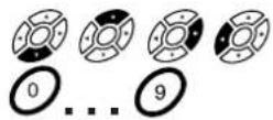 Radix Epsilon 3CI - Bedienung des Receivers - 2