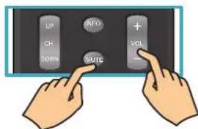 Auria EQ2688 - Adjusting the Volume - 1