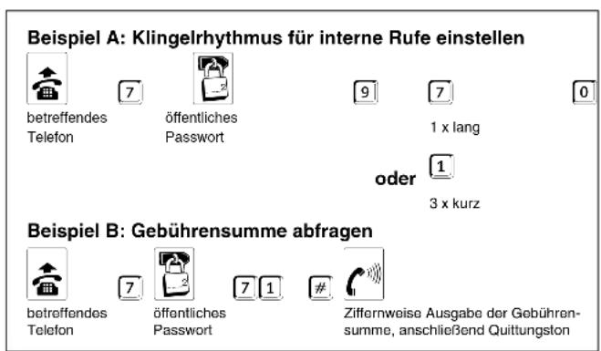 Auerswald COMpact 2206 USB - Im Handbuch verwendete Piktogramme - 2