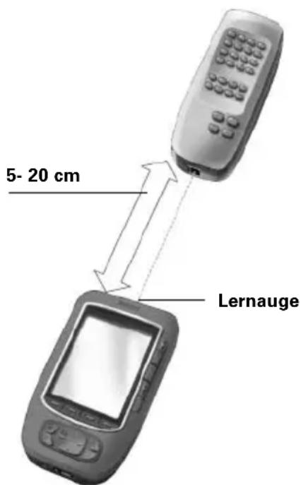 5- 20 cm Lernauge