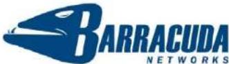 Barracuda Networks SSL VPN 380 - 1