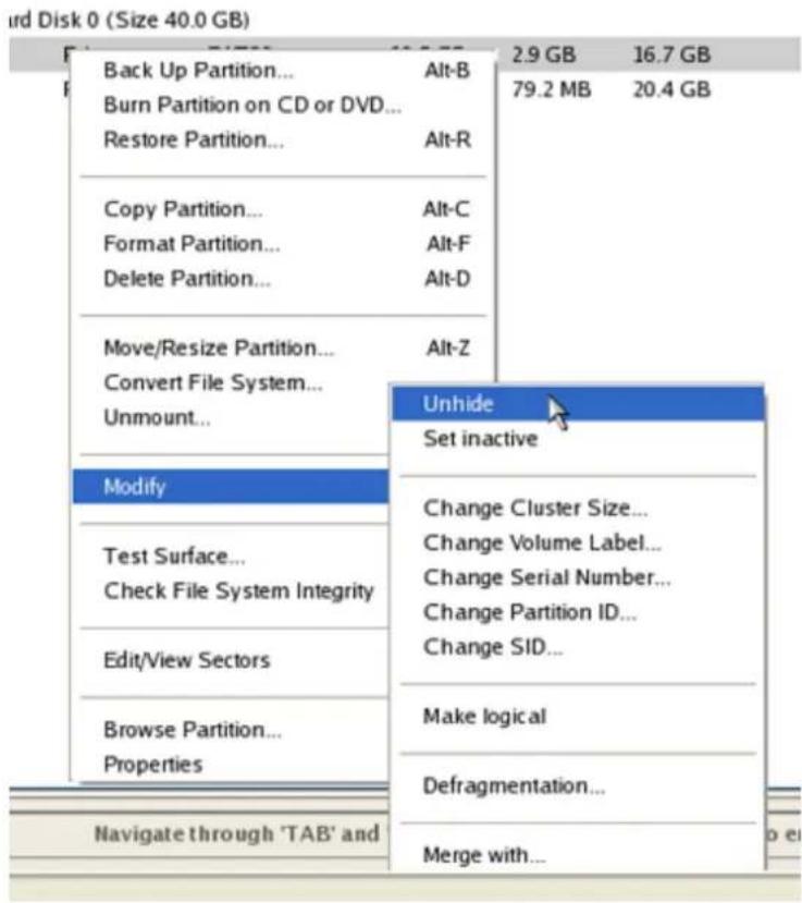 Paragon PSG-161-SEG-PL-NP - Reviving the system partition - 3